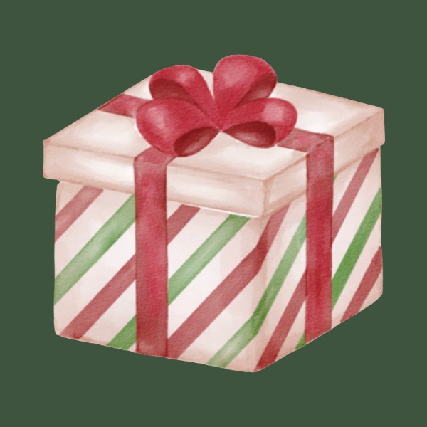 NEW! Mystery Bundle Bags - Christmas Edition